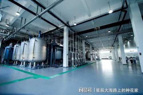 特斯拉成功突破干电极技术，国产新能源产业何以突围？