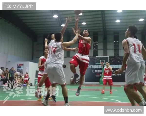 北京篮球队球员个人能力分析与表现评估综述